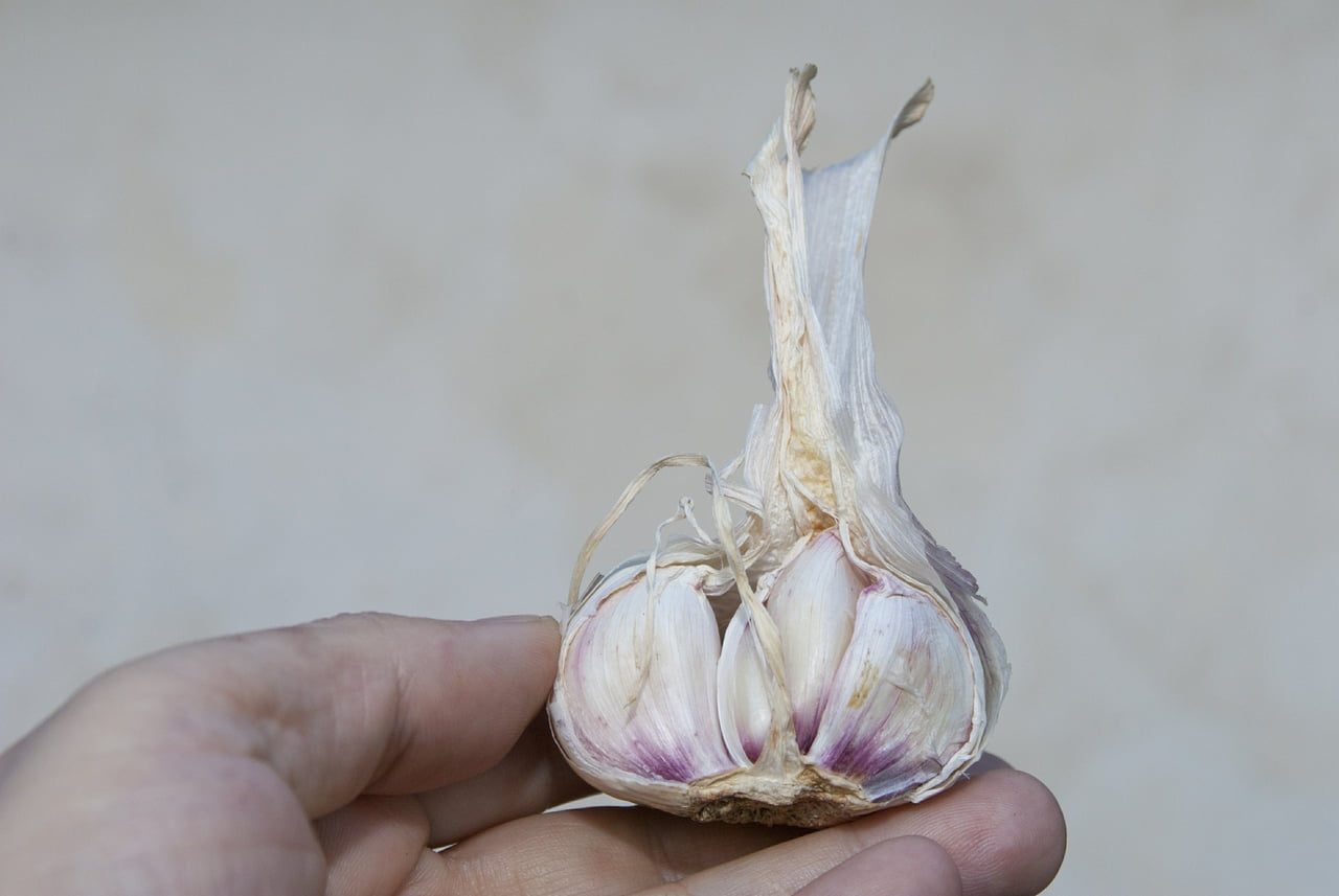 Европейские диетологи определили 5 самых полезных продуктов